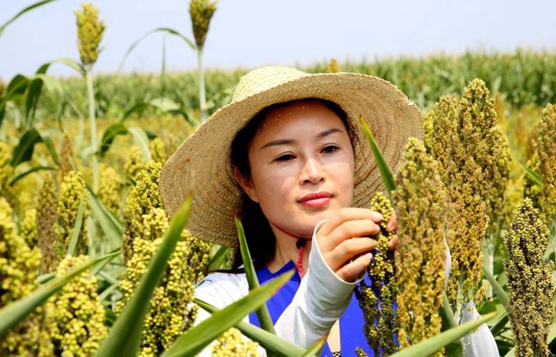 宁陵女装品牌在新潮中的蝶变